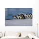 Adelie Penguins Jump from Wall Decal
