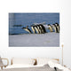 Adelie Penguins Jump from Wall Decal
