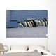 Adelie Penguins Jump from Wall Decal