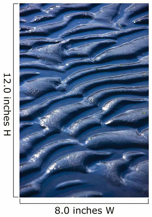 Detail Ripples Mud Women's Wall Decal
