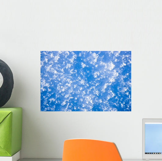 Up Hoarfrost Detail Alaska Wall Decal