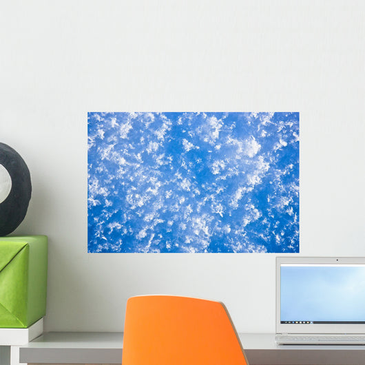 Up Hoarfrost Detail Alaska Wall Decal