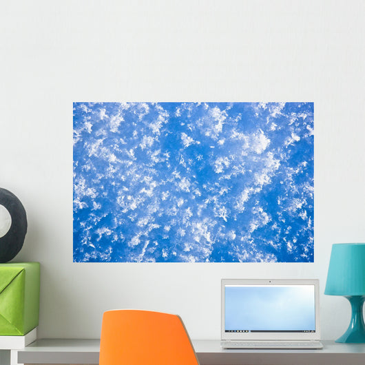 Up Hoarfrost Detail Alaska Wall Decal