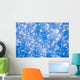 Up Hoarfrost Detail Alaska Wall Decal