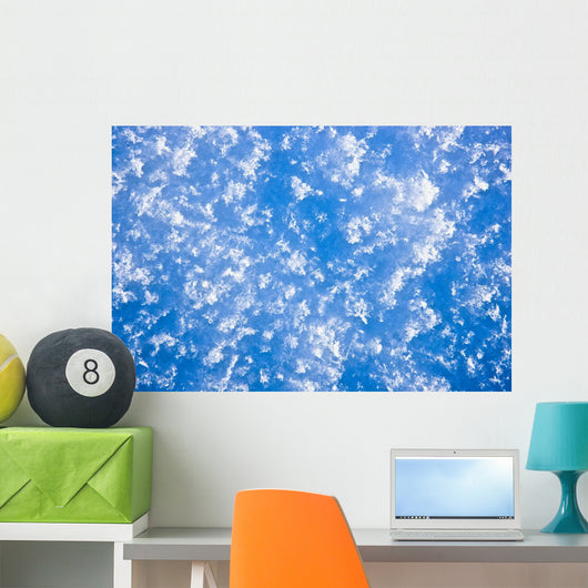 Up Hoarfrost Detail Alaska Wall Decal