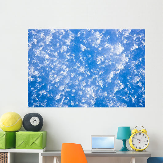 Up Hoarfrost Detail Alaska Wall Decal