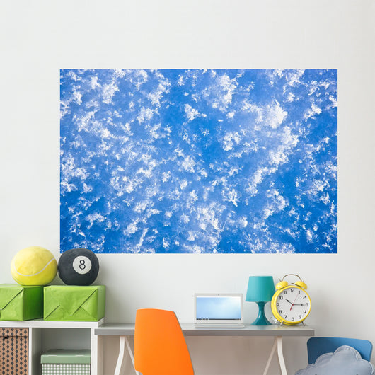 Up Hoarfrost Detail Alaska Wall Decal