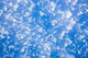 Up Hoarfrost Detail Alaska Wall Decal