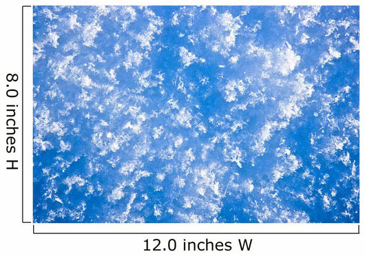 Up Hoarfrost Detail Alaska Wall Decal