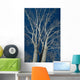 Trees Wall Mural