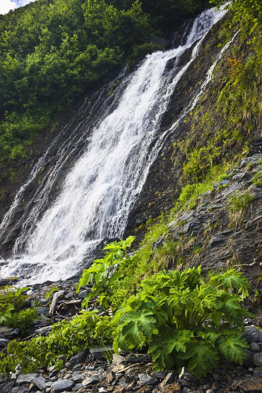 Waterfall Shoup Bay State Wall Decal