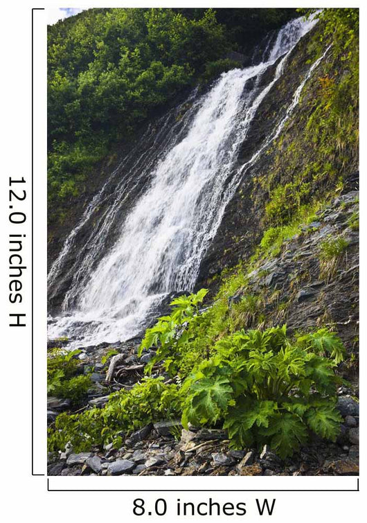 Waterfall Shoup Bay State Wall Decal