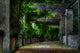 garden Wall Mural