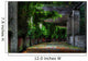 garden Wall Mural
