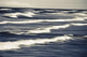 Surf Patterns Anchor Point Wall Decal Design 2