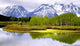 Tranquility Wall Decal Design 2