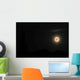 Moon Night Wall Decal