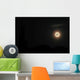 Moon Night Wall Decal