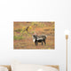 Adult Bull Caribou Stands Wall Decal