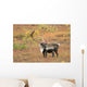 Adult Bull Caribou Stands Wall Decal