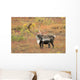 Adult Bull Caribou Stands Wall Decal
