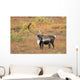 Adult Bull Caribou Stands Wall Decal