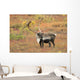 Adult Bull Caribou Stands Wall Decal