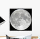 Detailed Full Moon Wall Mural