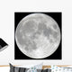 Detailed Full Moon Wall Mural