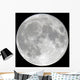 Detailed Full Moon Wall Mural