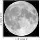 Detailed Full Moon Wall Mural