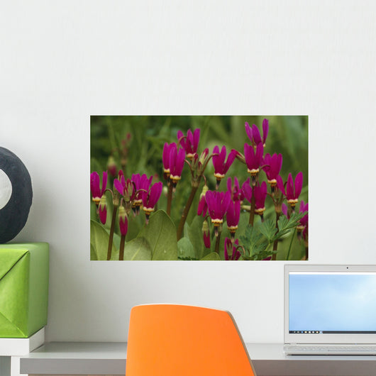 Shooting Star Wildflowers Wall Decal