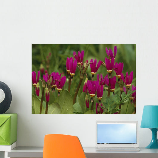 Shooting Star Wildflowers Wall Decal