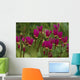 Shooting Star Wildflowers Wall Decal