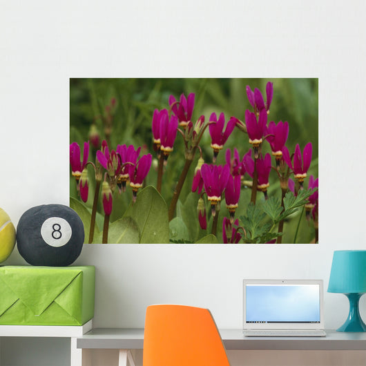 Shooting Star Wildflowers Wall Decal