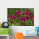 Shooting Star Wildflowers Wall Decal