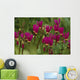 Shooting Star Wildflowers Wall Decal