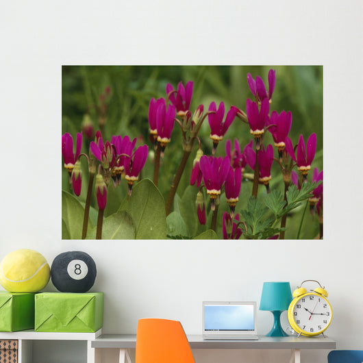 Shooting Star Wildflowers Wall Decal