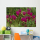 Shooting Star Wildflowers Wall Decal