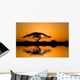 Acacia Tree Sunrise Wall Decal