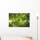 Bamboo forest in Japan Wall Mural