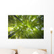 Bamboo forest in Japan Wall Mural