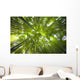 Bamboo forest in Japan Wall Mural