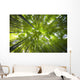 Bamboo forest in Japan Wall Mural