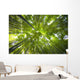 Bamboo forest in Japan Wall Mural