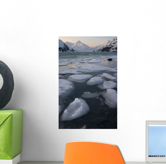 Scenic Ice Portage Lake Wall Decal