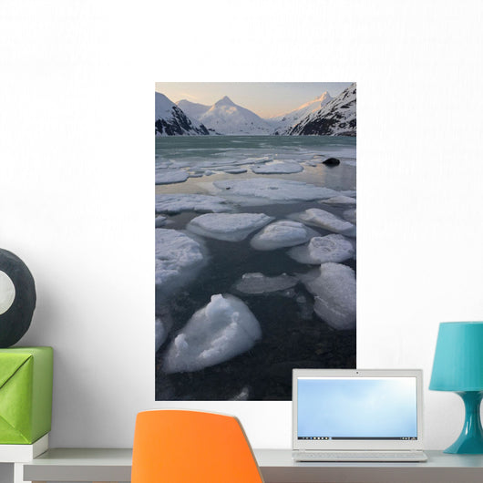 Scenic Ice Portage Lake Wall Decal