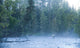 Fly Fisherman Fights Dolly Wall Decal
