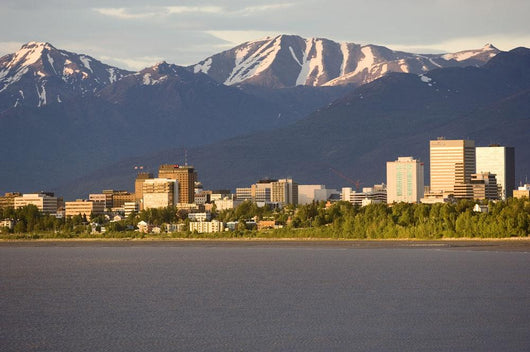 Downtown Anchorage Skyline Spring Wall Decal