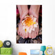Female hands and feet Wall Mural